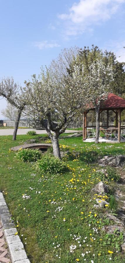 B&B Talstation Horselberg-Hainich Esterno foto