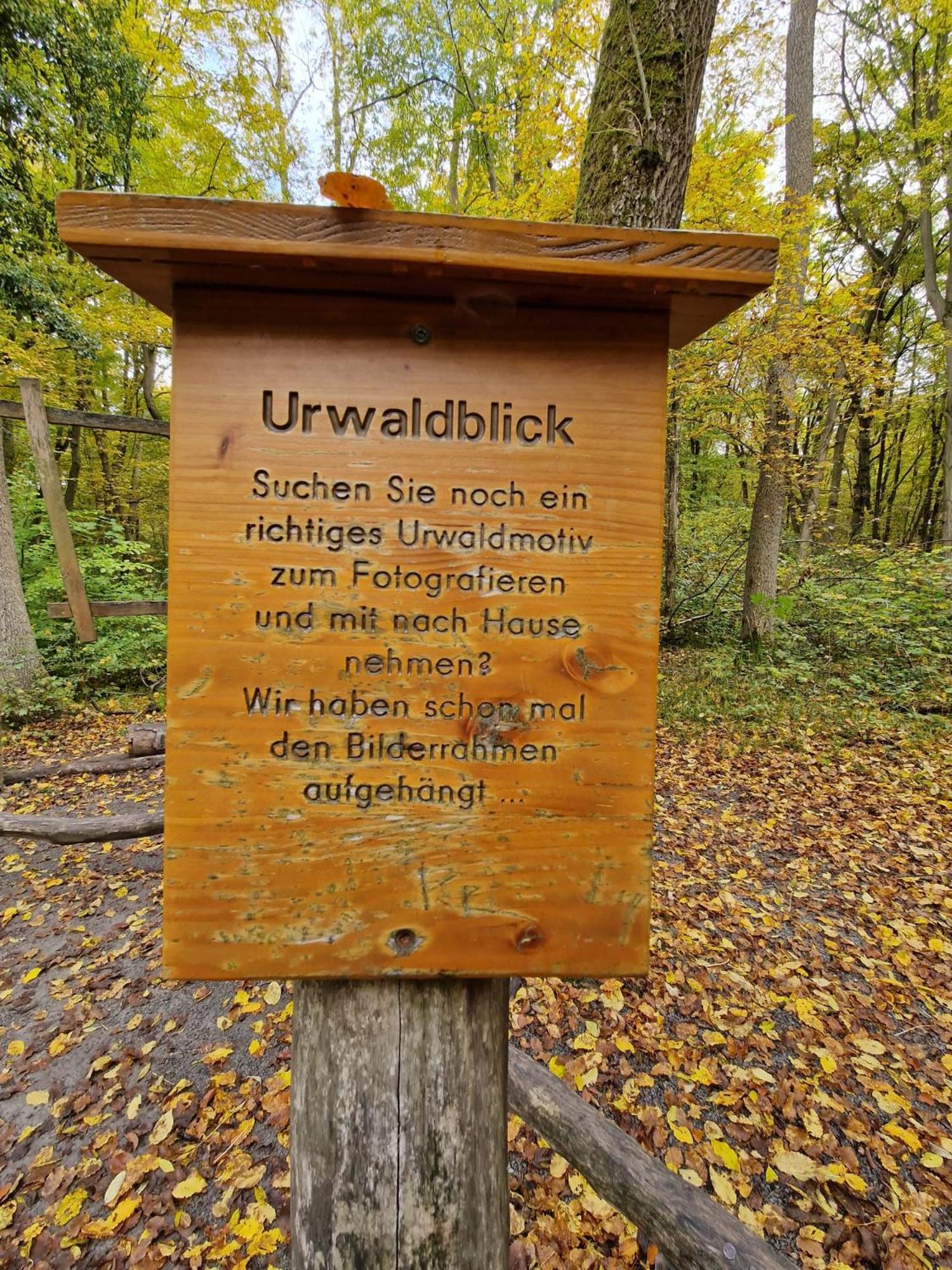 B&B Talstation Horselberg-Hainich Esterno foto